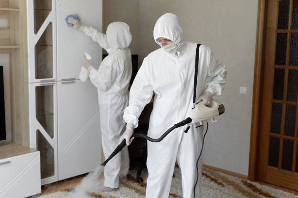 Mold Removal Process in Bayville, NY