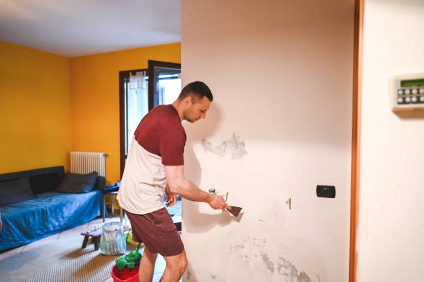 Office Mold Removal Services in Bayville, NY